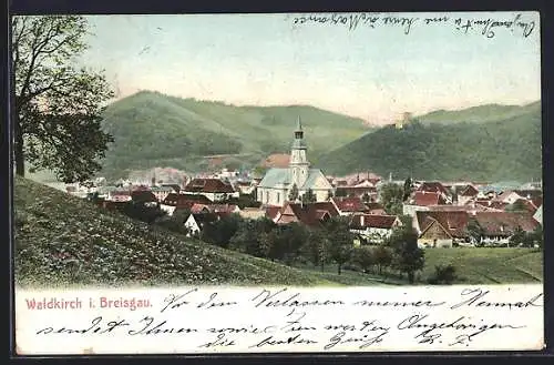 AK Waldkirch i. Breisgau, Ortsansicht mit Bergpanorama