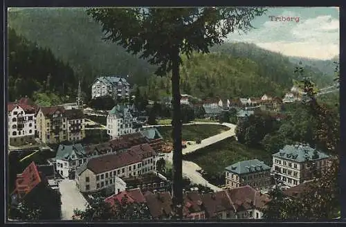 AK Triberg, Ortspartie aus der Vogelschau