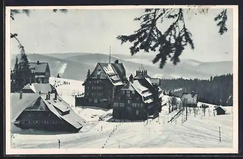 AK Feldberg / Schwarzwald, Feldbergerhof im Winter