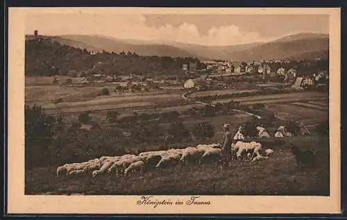 AK Königstein im Taunus, Ortsansicht aus der Ferne, mit Schäfer und Herde