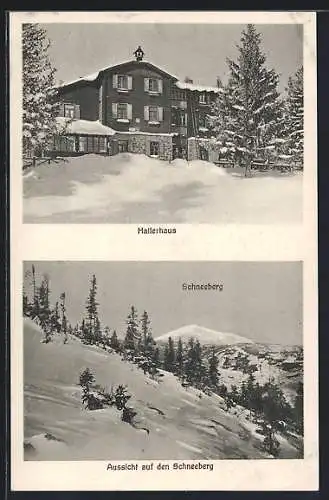 AK Hallerhaus, Berghütte mit Aussicht auf den Schneeberg