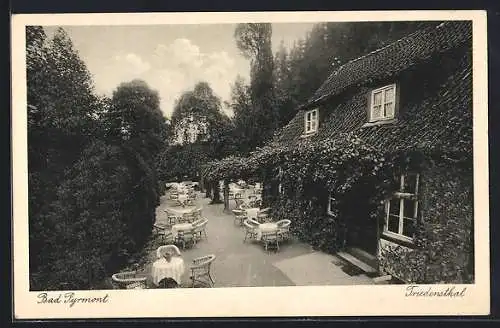 AK Bad Pyrmont, Blick auf die Terrasse des Gasthaus Friedensthal