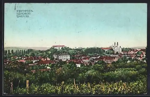 AK Uzhorod, Panorama