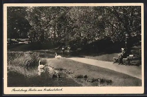 AK Rendsburg, Gerhartsteich mit Schwänen