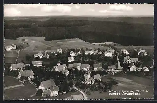 AK Igelsberg /Württbg. Schwarzwald, Teilansicht mit Strassenpartien