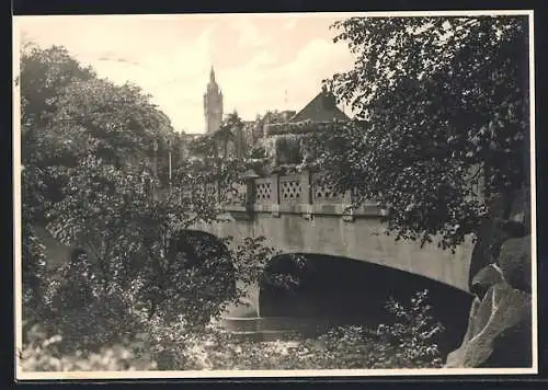 AK Dessau, Blick auf alte Brücke