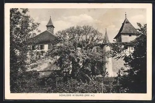 AK Kyburg, Blick aufs Schloss Kyburg