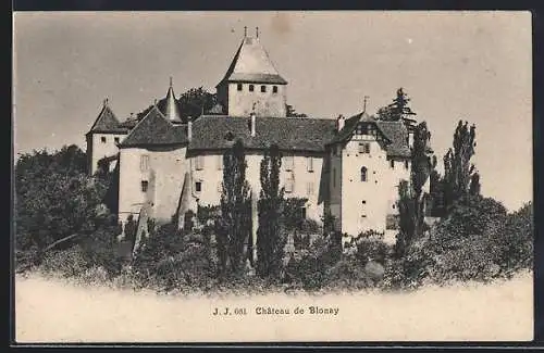 AK Blonay, Chateau de Blonay