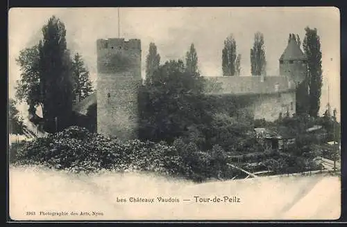 AK Tour-de-Peilz, Les Chateaux Vaudois en 1904