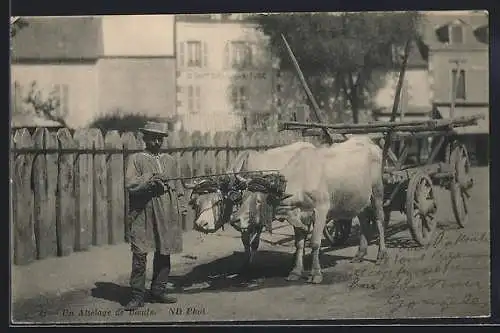 AK Un Attelage de Boeufs