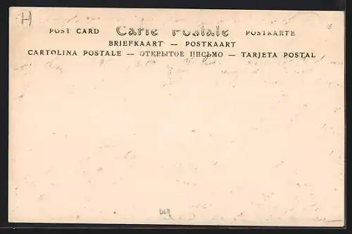 AK Un Attelage de Boeufs