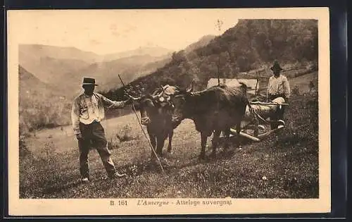 AK L`Auvergne, Attelage auvergnat