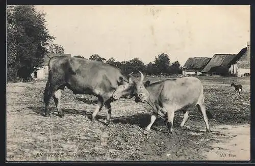 AK En Creuse, Combat de Boeufs