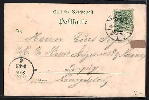 Lithographie Braunschweig, Polytechnikum, Kaiserliche Oberpostdirektion und Residenzschloss
