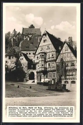 AK Miltenberg am Main, Markt mit Burg