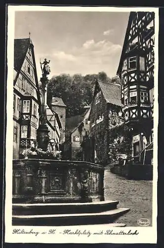 AK Miltenberg a. M., Marktplatz mit Schnatterloch