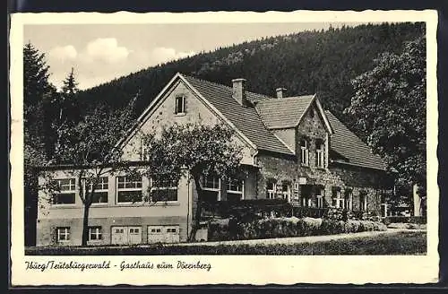 AK Iburg /Teutoburgerwald, Gasthaus zum Dörenberg H. Bäumker