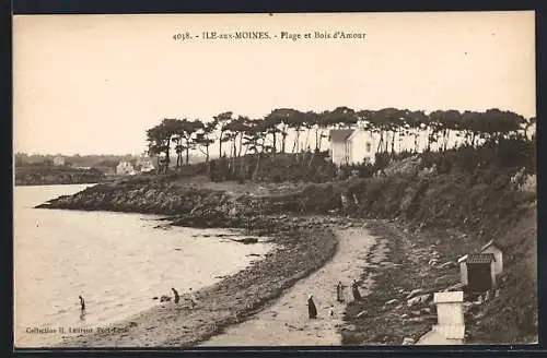 AK Île-aux-Moines, Plage et Bois d`Amour