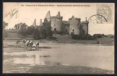 AK Suscinio, Ruines du château et vaches près du lac