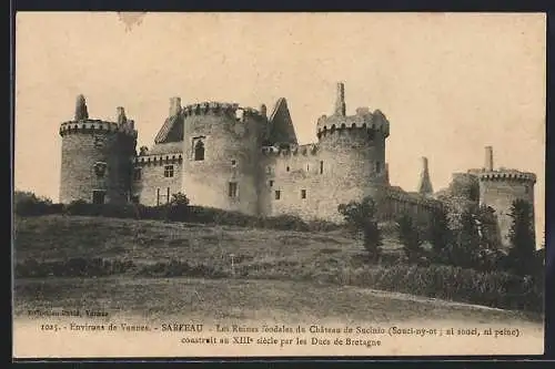 AK Sarzeau, Les Ruines féodales du Château de Suscinio, construit au XIIIe siècle par les Ducs de Bretagne