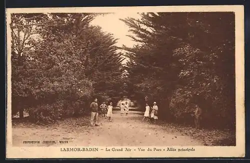 AK Larmor-Baden, Le Grand Air, Vue du Parc, Allée principale