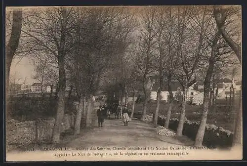 AK Carnac-Ville, Avenue des Soupirs vers la station balnéaire avec végétation remarquable