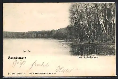 AK Berlin-Schlachtensee, Partie am Schlachtensee