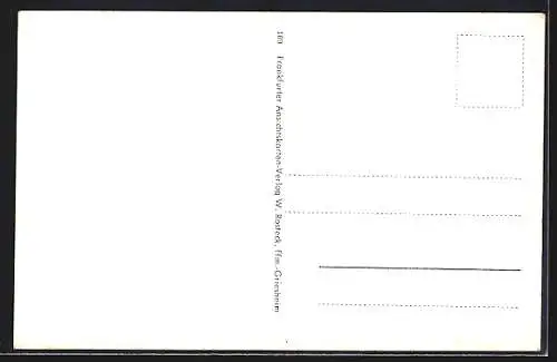 AK Rhodt unter Rietburg, Strassenpartien, Platzpartie, Totalansicht