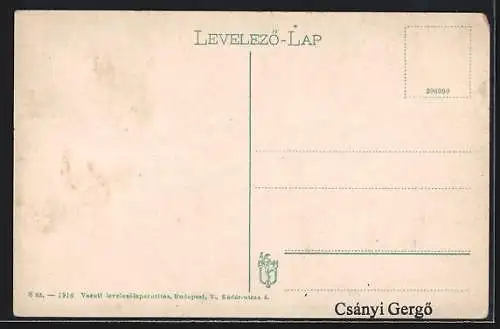 AK Munkács, Rákóczi-utca