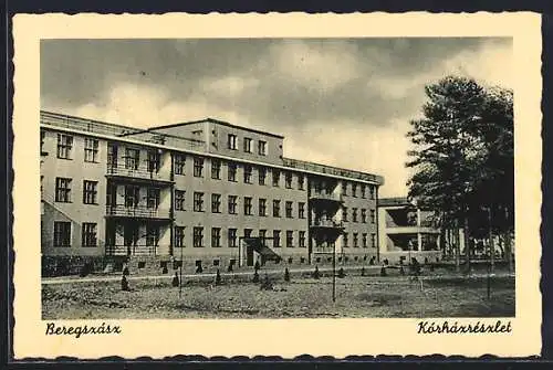 AK Beregszász, Kárházrészlet