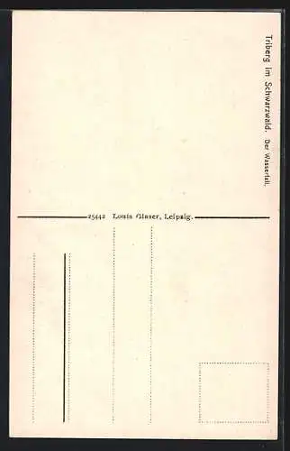 AK Triberg im Schwarzwald, Der Wasserfall