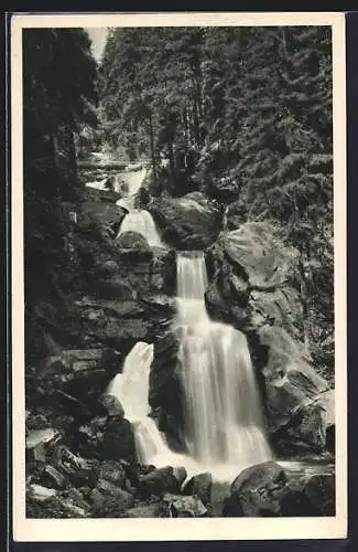 AK Triberg /Schwarzwald, Brücke über dem Wasserfall