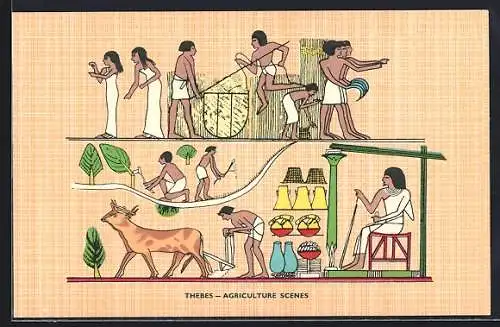 AK Thebes, Agriculture Scenes