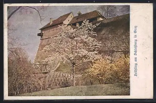 AK Deutscher Schulverein Nr.1035: Graz, Frühling am Schlossberg