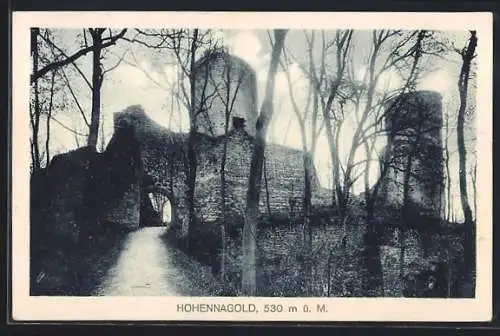 AK Nagold, Ruine Hohennagold