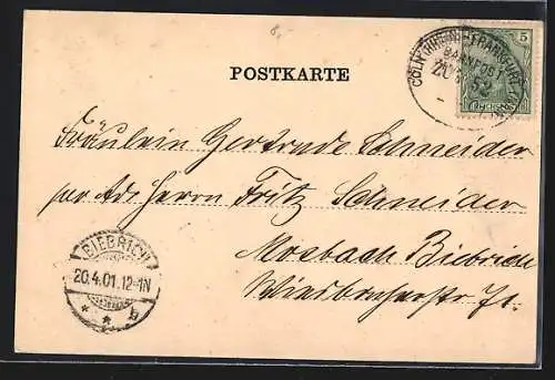 AK Neuwied, Am Rheinufer