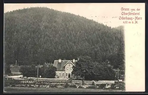 AK Oderhaus /Harz, Oberförsterei Oderhaus mit Umgebung und Bergblick