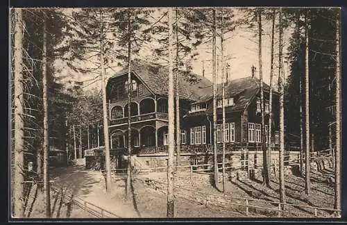 AK Heidelberg, Restaurant auf dem Königstuhl, Endstation d. Bergbahn