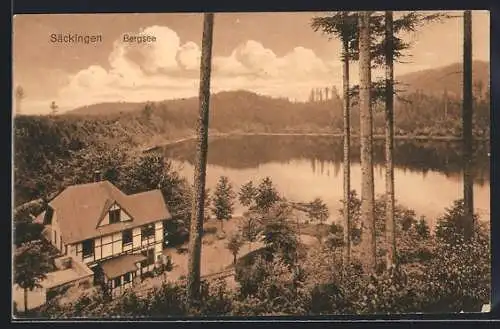 AK Säckingen, Bergsee mit Gebäude aus der Vogelschau