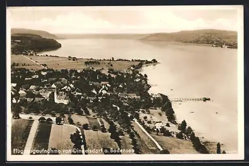 AK Dingelsdorf am Bodensee, Totalansicht mit See, Fliegeraufnahme