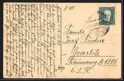 AK Mukacevo, Panorama