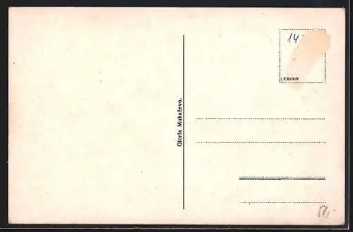 AK Mukacevo, Celkovy pohled