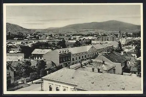 AK Munkács, Panorama