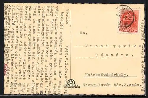 AK Munkács, Látkép