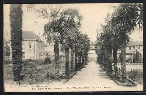 AK Bergerac, Une Allée de Palmiers du Jardin Perdoux