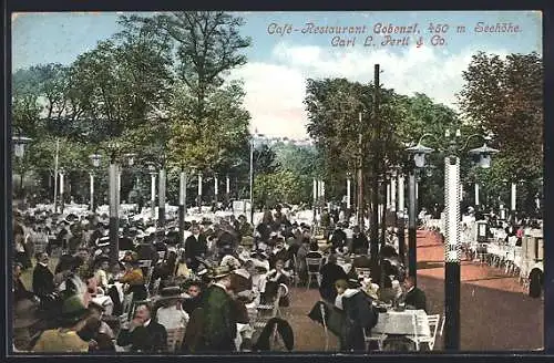 AK Wien, Gartenpartie aus dem Café-Restaurant Cobenzl von Carl L. Pertl & Co