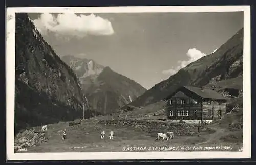 AK Ginzling /Zillwetal, Floitenthal, Gasthof Steinbock gegen Grünberg