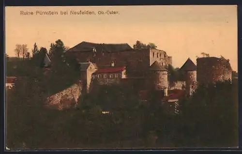 AK Pürnstein bei Neufelden /Ob.-Österr., Ruine Pürnstein