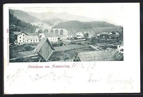 AK Steinhaus am Semmering, Ortsansicht mit Brücke