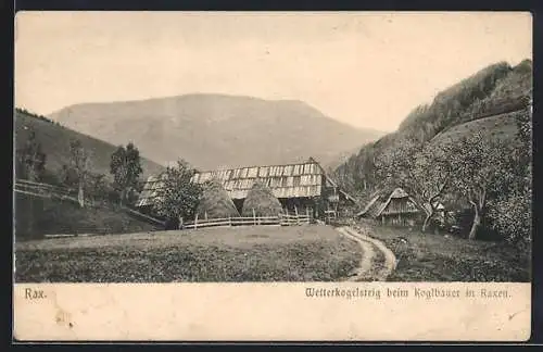 AK Rax, Wetterkogelstein beim Koglbauer in Raxen